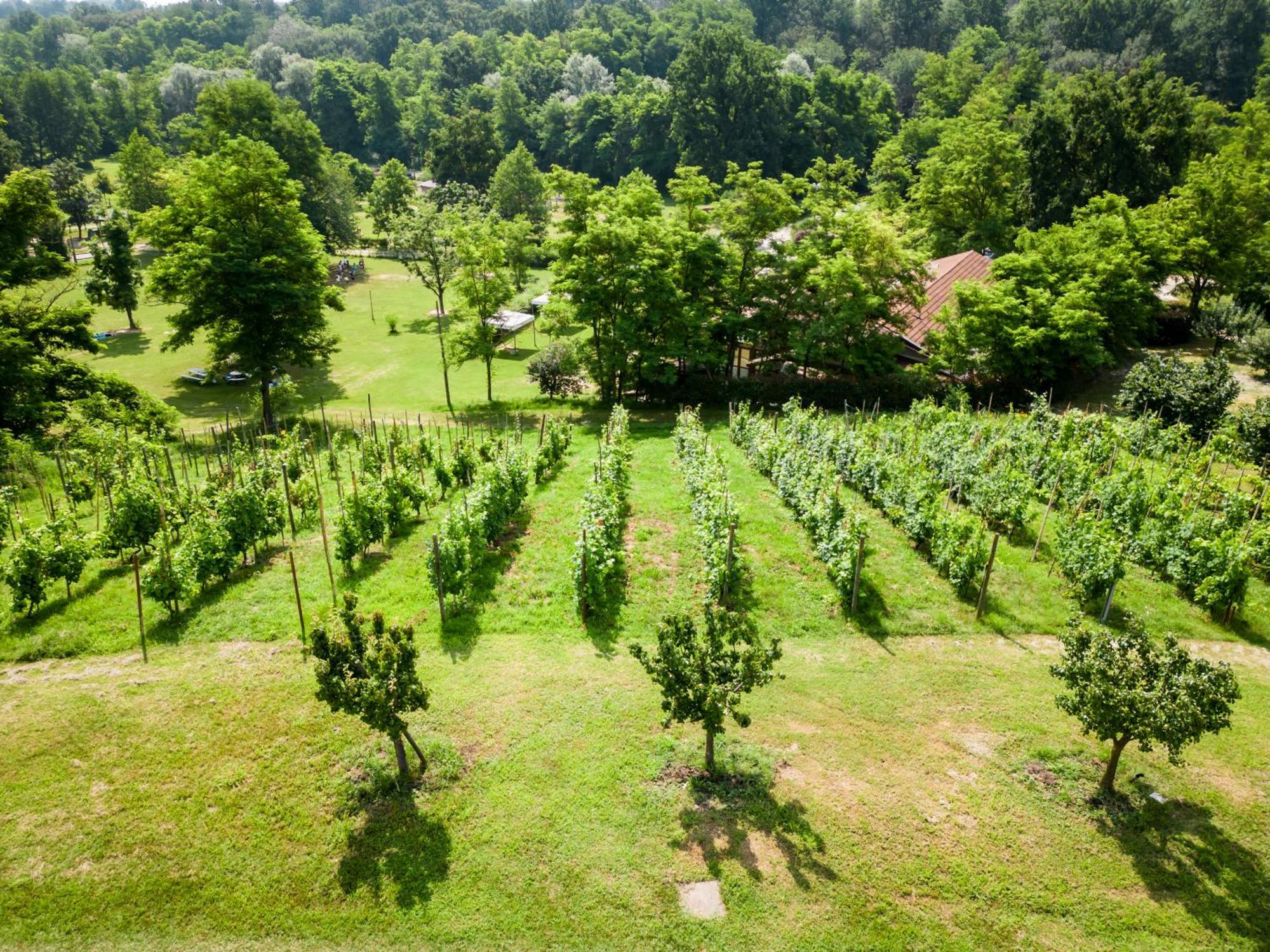 Agriturismo Parco Campofelice Lombardore Extérieur photo