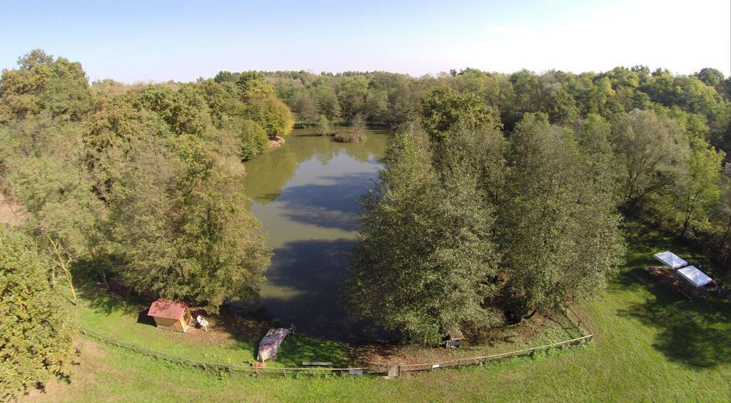 Agriturismo Parco Campofelice Lombardore Extérieur photo